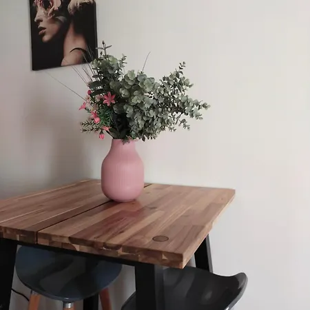 Proche Gare Et Cite Gastronomique * דיז'ון