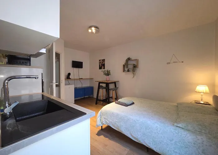 Proche Gare Et Cite Gastronomique