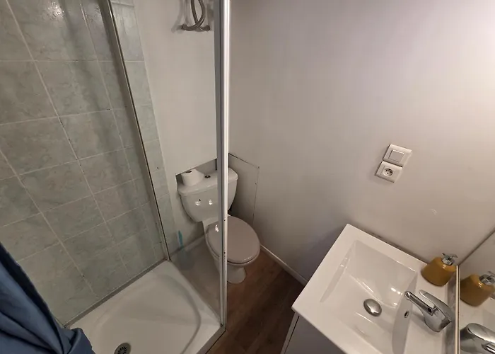 Proche Gare Et Cite Gastronomique Dijon