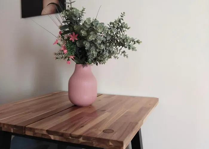 Proche Gare Et Cite Gastronomique * ديجون