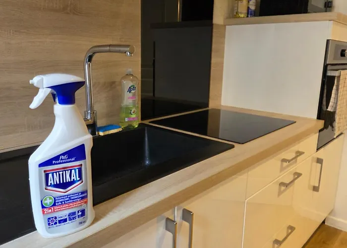 Proche Gare Et Cite Gastronomique * Dijon